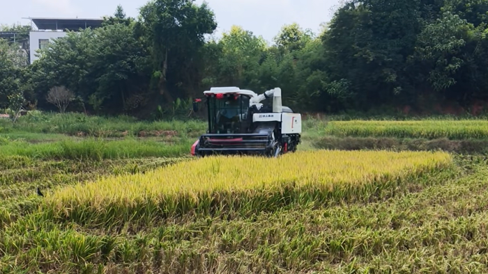 XR720����ˮ��������Ч��ҵ�ٷ���