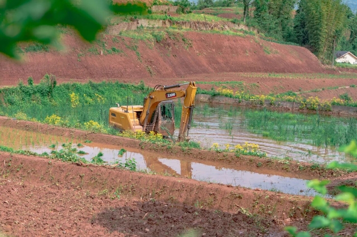 衰֡bbinӯڻУháng