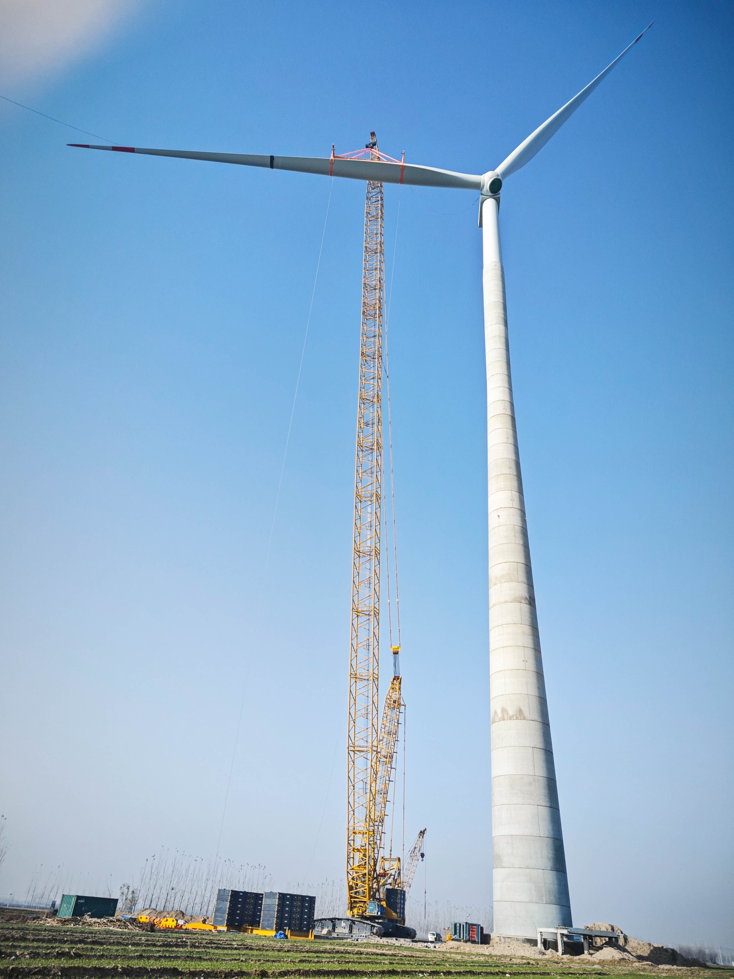 BBIN����ӯ����(�й�)���޹�˾