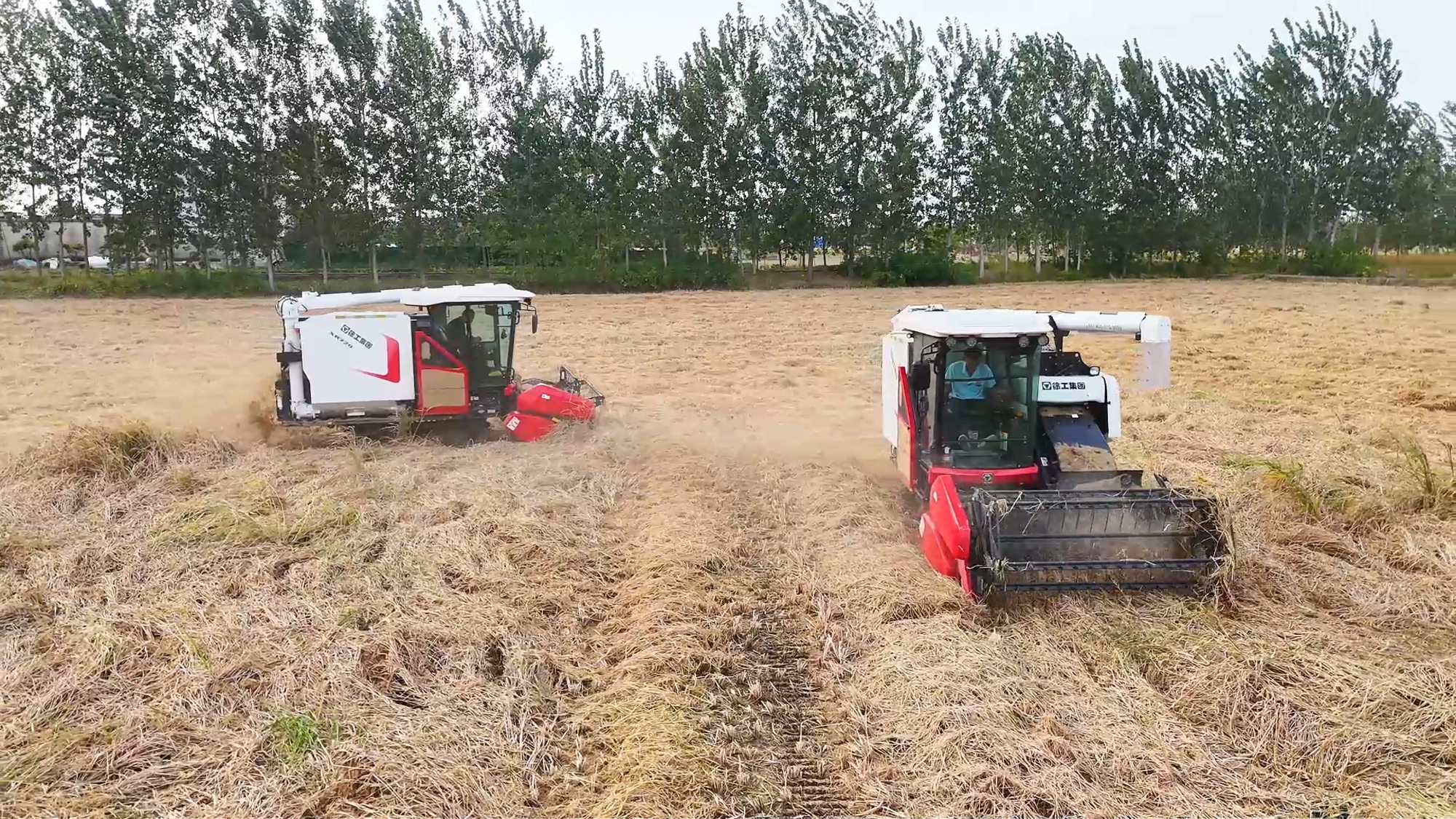 BBIN����ӯ����(�й�)���޹�˾