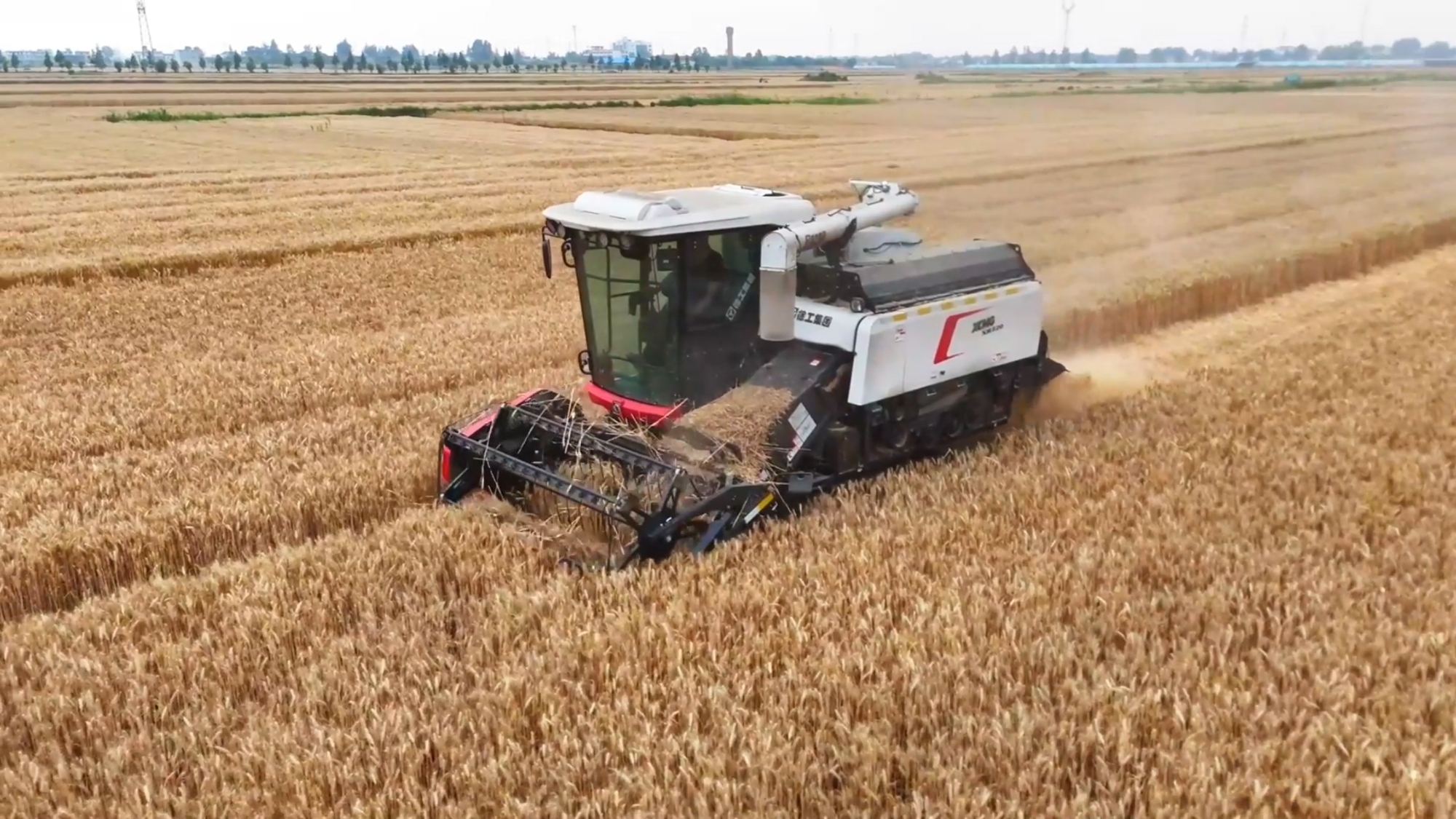 BBIN����ӯ����(�й�)���޹�˾