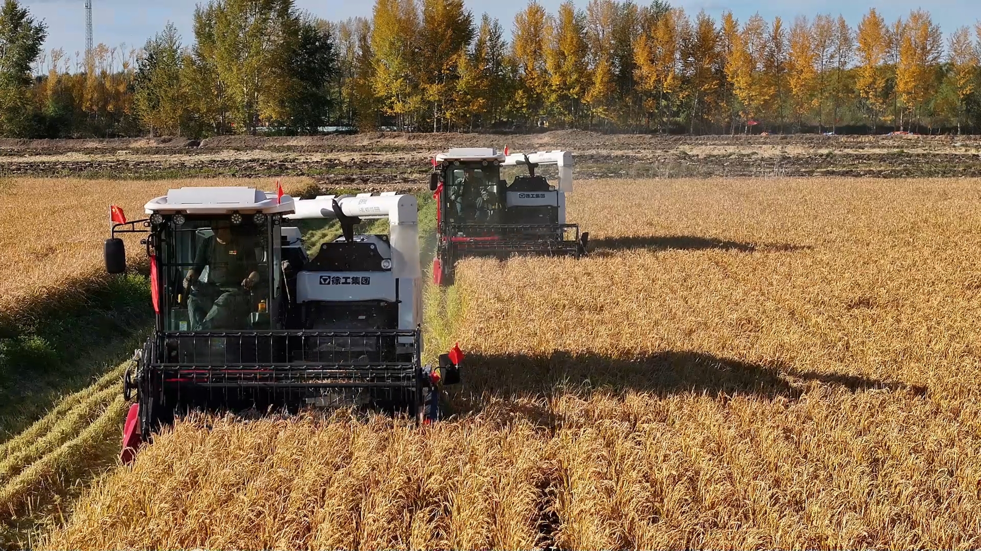 BBIN����ӯ����(�й�)���޹�˾