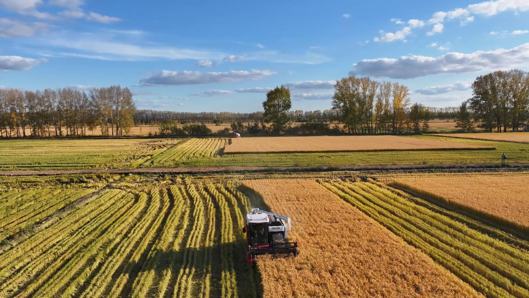 BBIN����ӯ����(�й�)���޹�˾