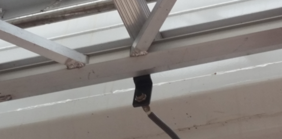 BBIN����ӯ����(�й�)���޹�˾