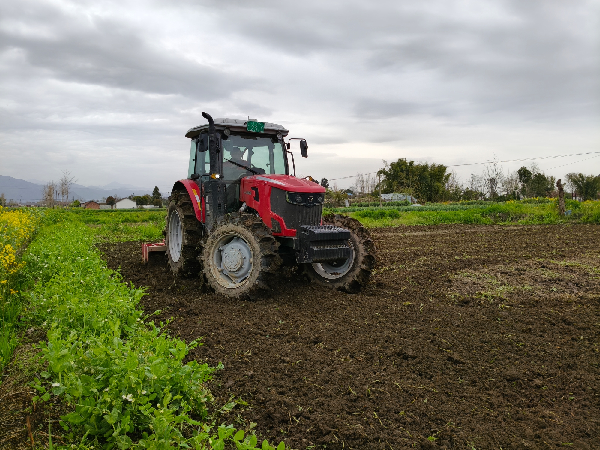 BBIN����ӯ����(�й�)���޹�˾