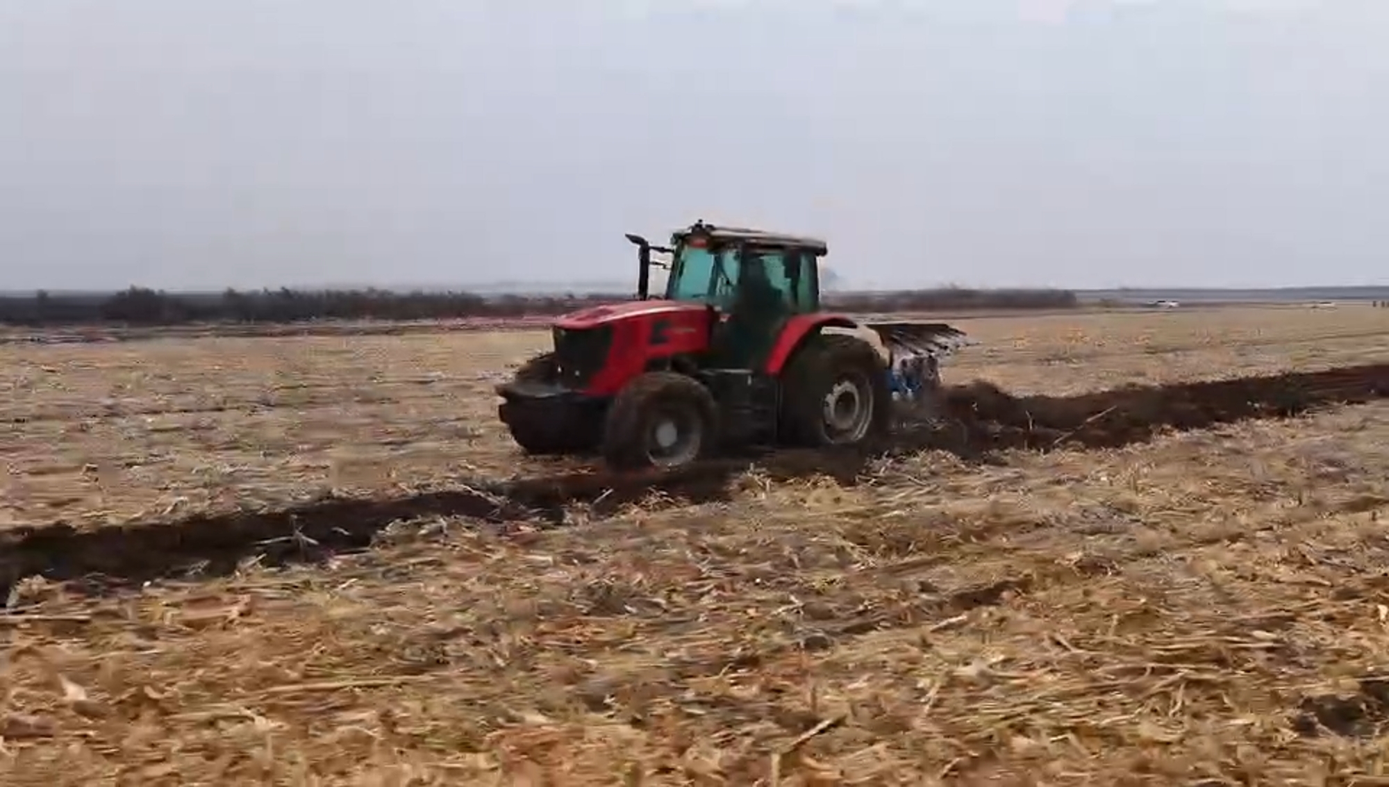 BBIN����ӯ����(�й�)���޹�˾