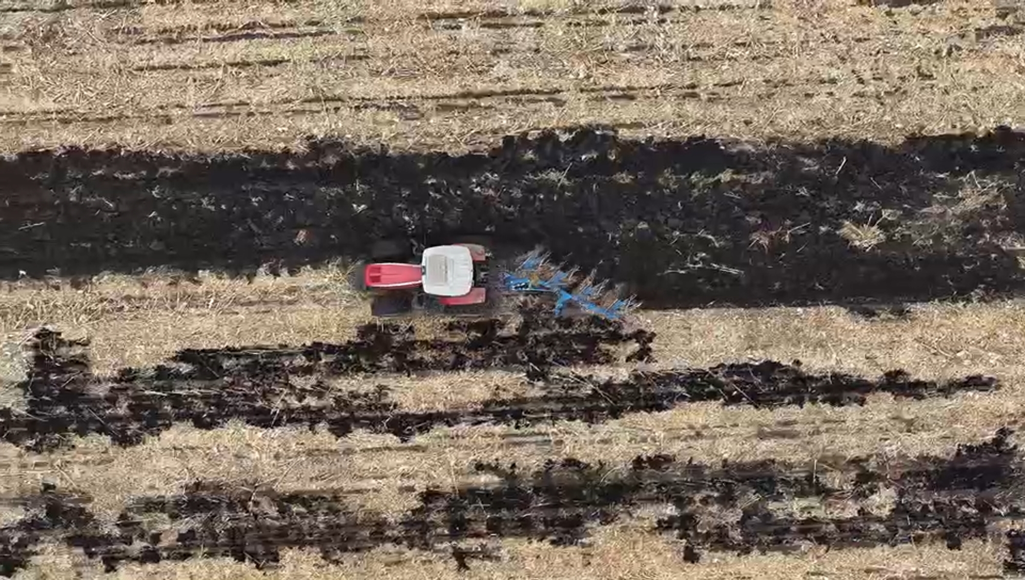 BBIN����ӯ����(�й�)���޹�˾